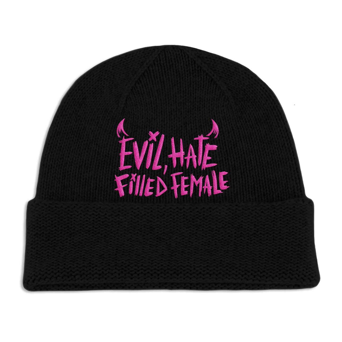 'Evil, Hate Filled Female' Embroided Beanie